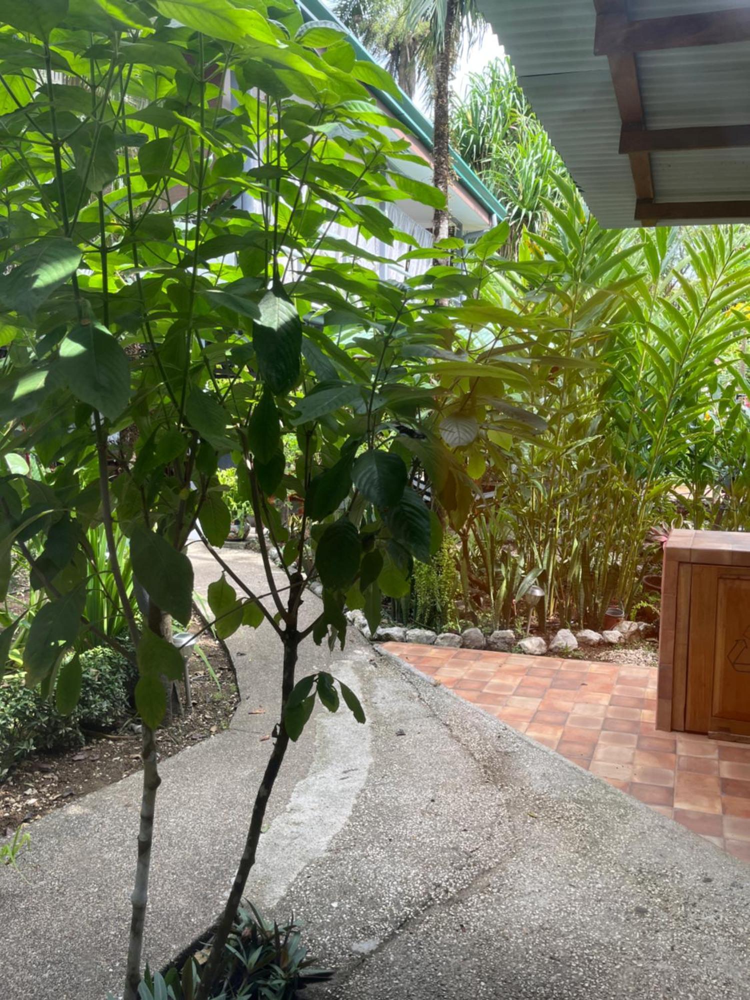 Hotel Entre Dos Aguas Samara Bagian luar foto