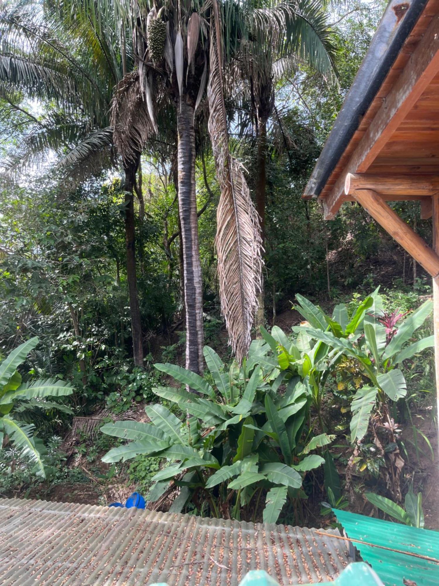 Hotel Entre Dos Aguas Samara Bagian luar foto