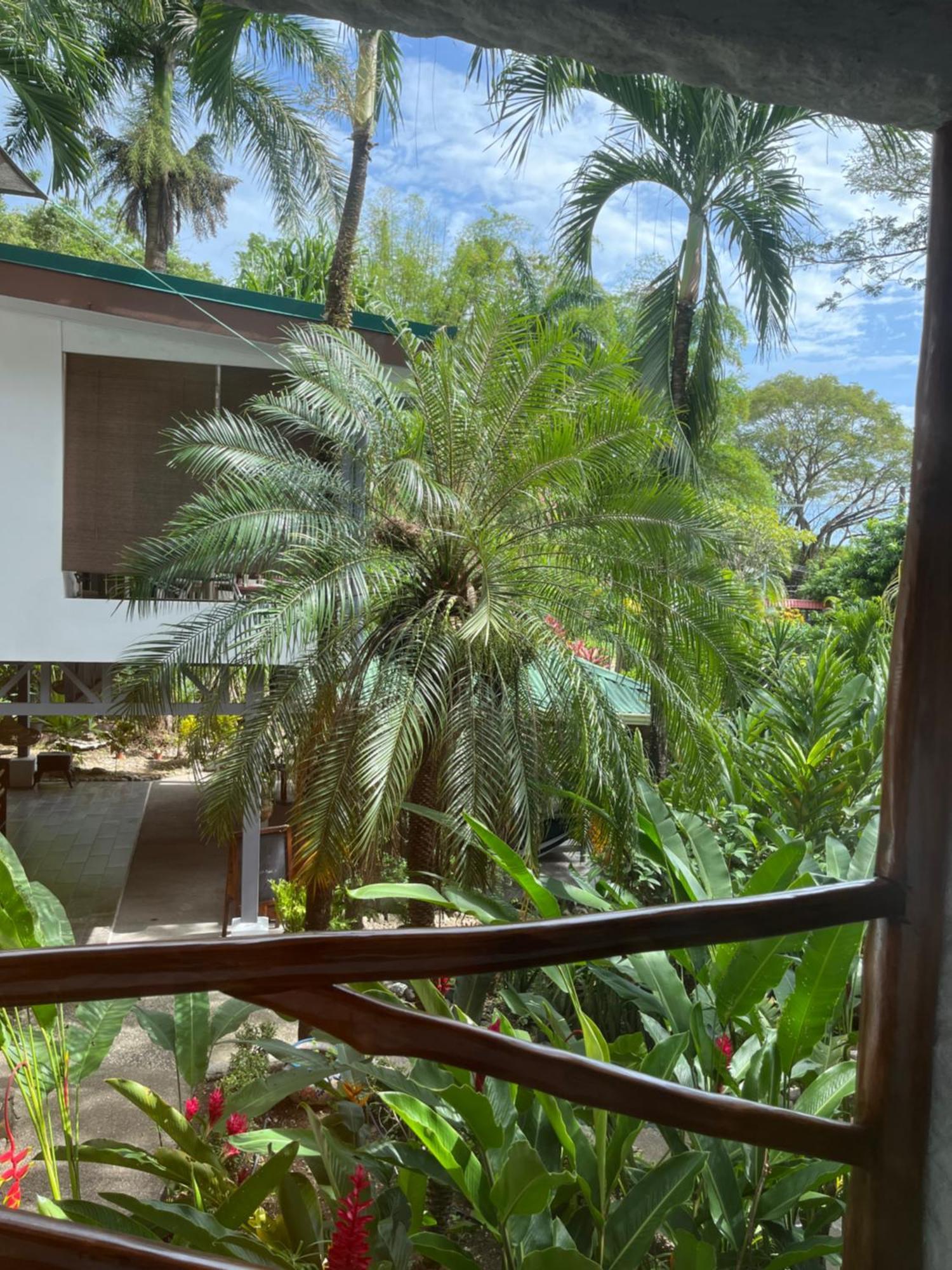 Hotel Entre Dos Aguas Samara Bagian luar foto